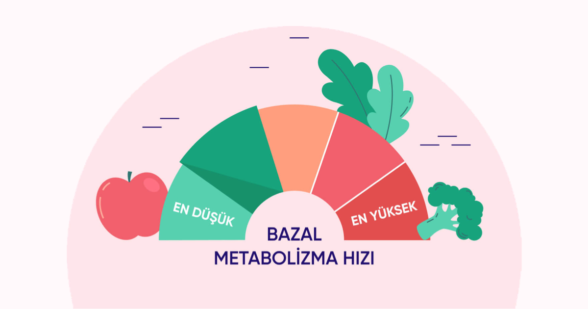 Metabolizma Hızı