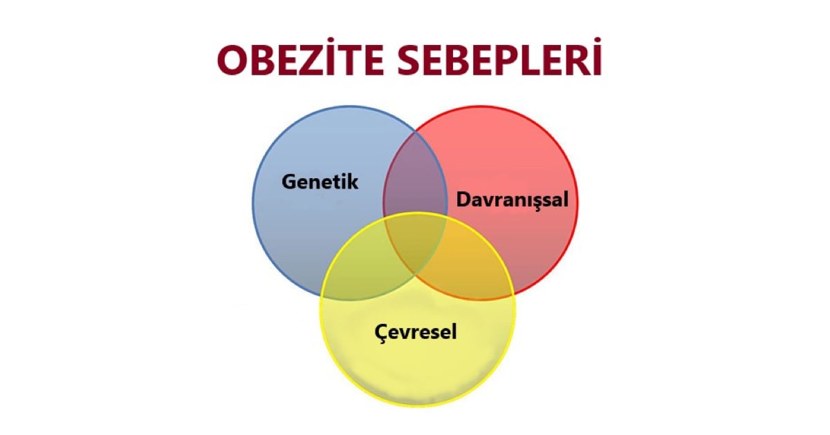 Obezite Sebepleri