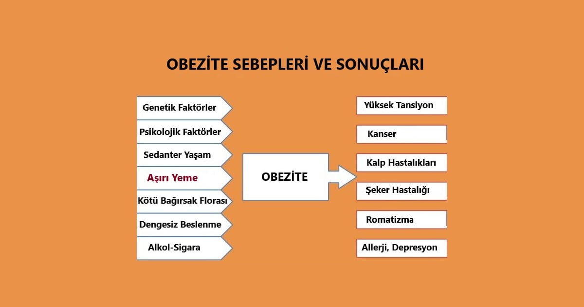 Obezite Sebepleri ve Sonuçları